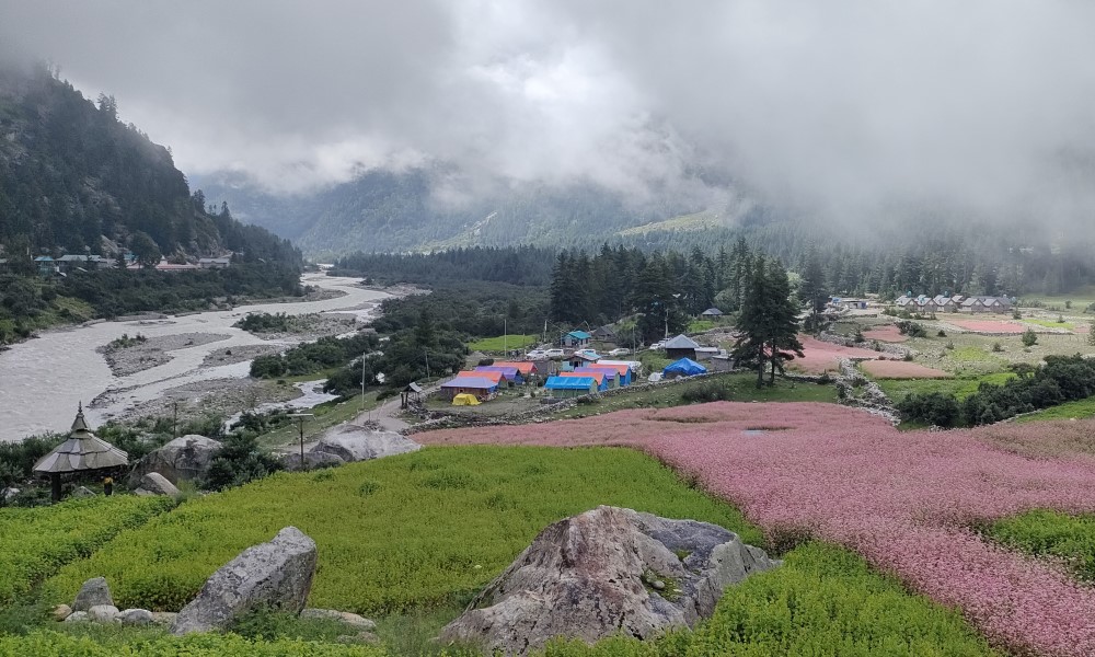 Kinnaur Kalpa with Sangla Valley and Chitkul Tour