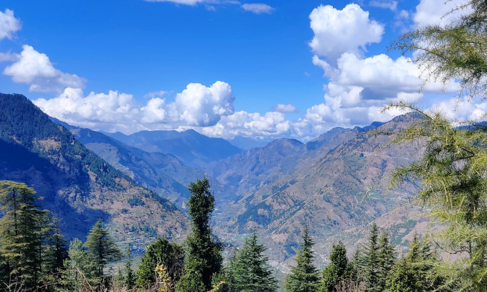 Shoja Jalori Pass Jibhi and Tirthan Valley Tour Package